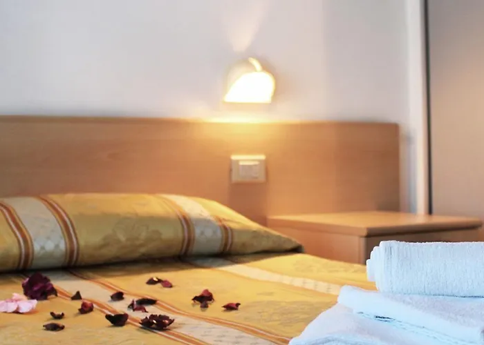 New Primula Hotel 3*