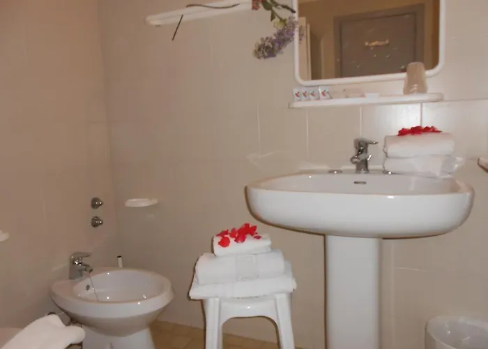 New Primula Hotel 3*