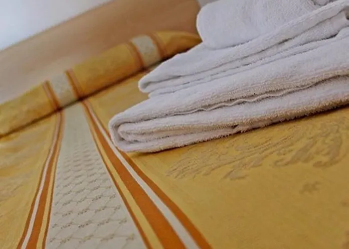 Hotel New Primula Rimini