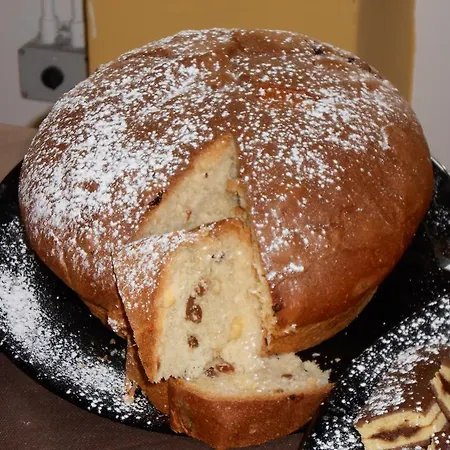 New Primula 3* Rímini