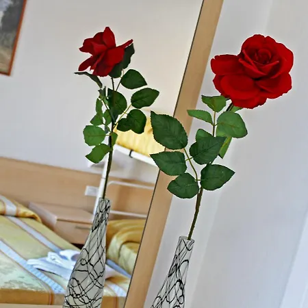 New Primula 3* ريميني