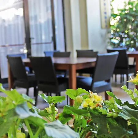 New Primula Hotel Rimini