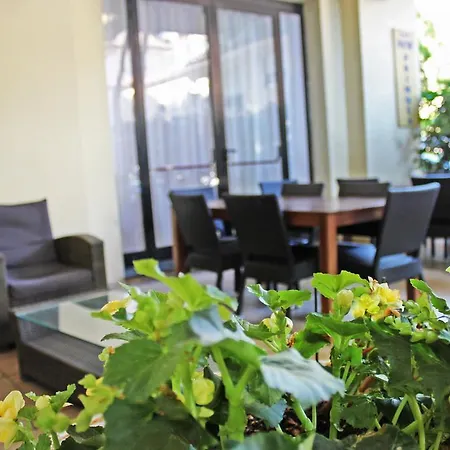 Hotel New Primula 3*