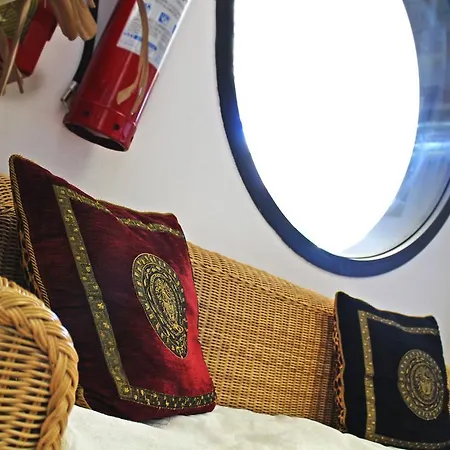 New Primula ريميني