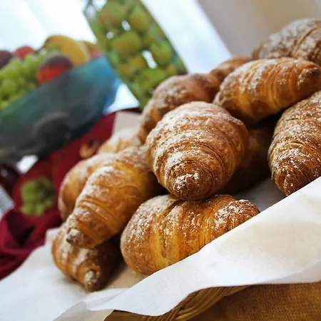 فندق New Primula