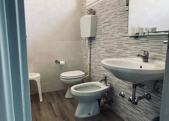 New Primula Ρίμινι