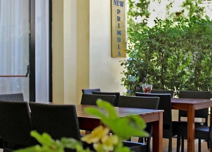 New Primula 3*