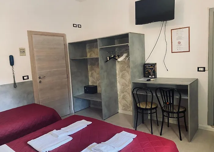 New Primula רימיני