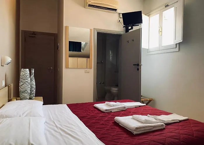 New Primula רימיני