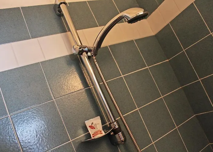 New Primula רימיני