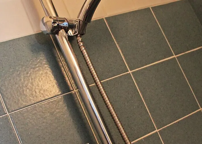 New Primula רימיני