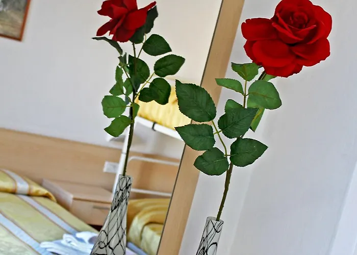 New Primula 3* רימיני