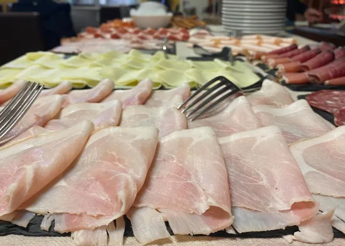 New Primula מלון