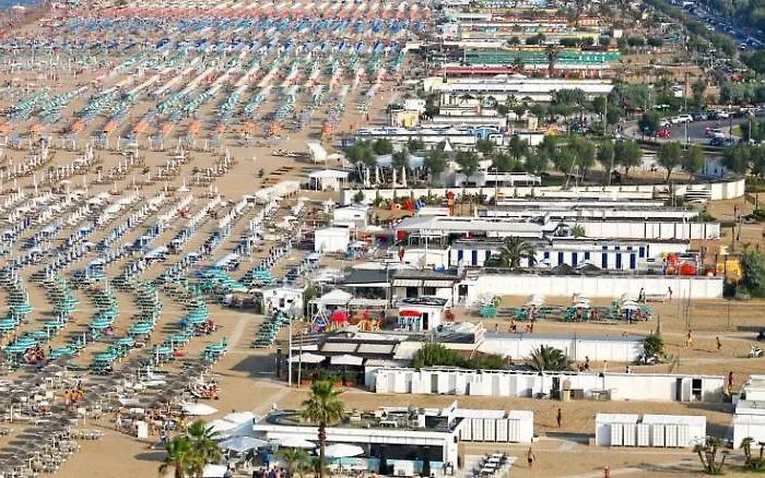 New Primula רימיני